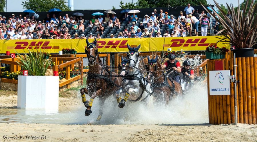 Reistsport Aachen CHIO